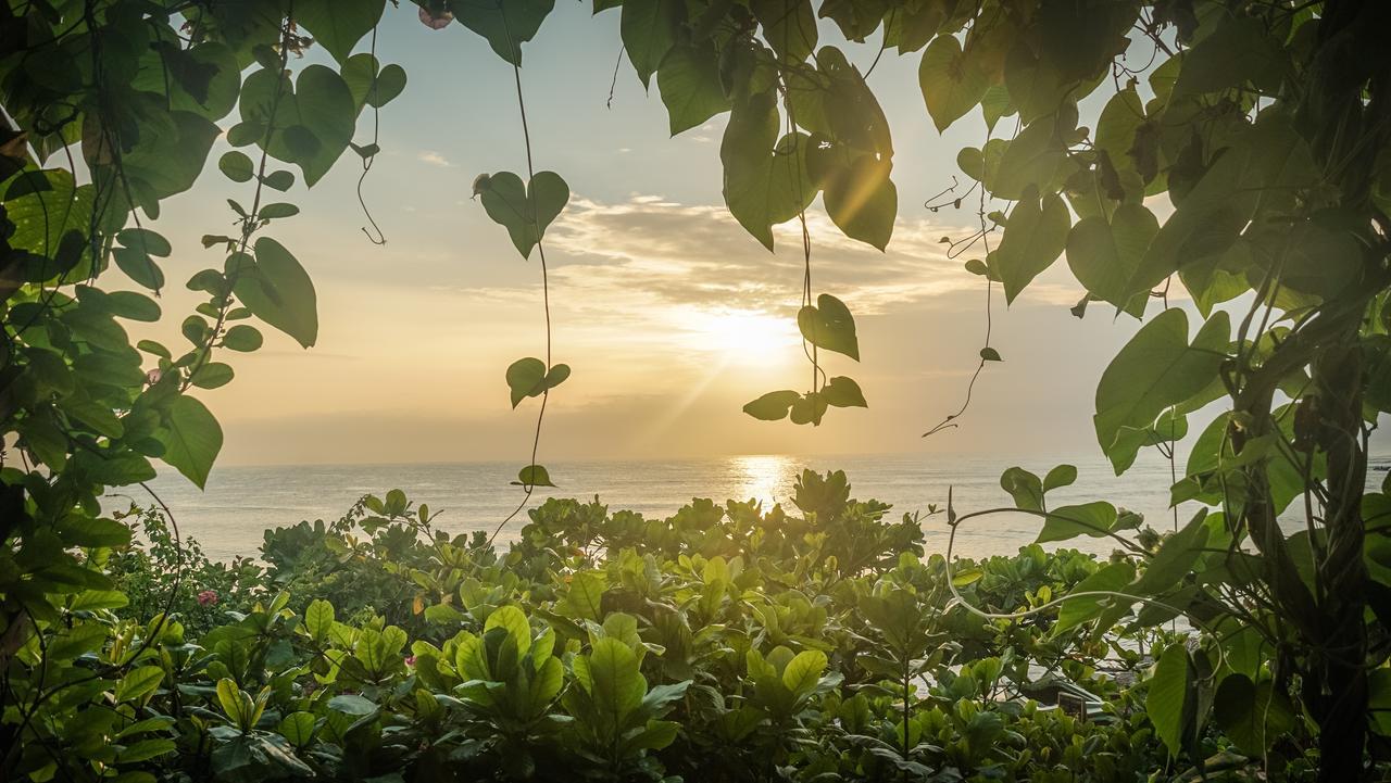 Hotel Bay Vista Arugam Bay Pokój zdjęcie